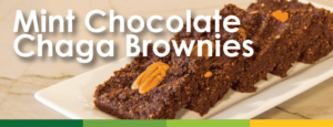 Immune-Health-Month-Chaga-Brownies