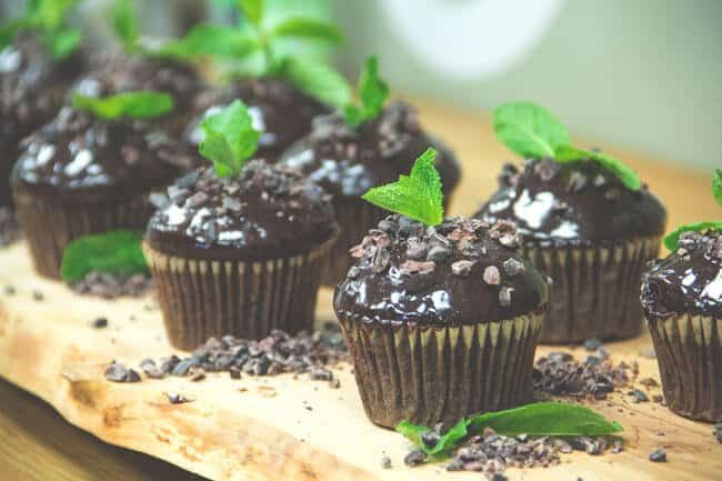 Mint Chocolate Plant Cupcakes