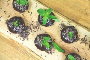 Mint Chocolate Plant Cupcakes