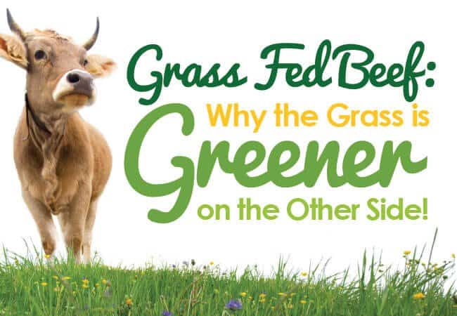 Grass-Fed-Beef-Benefits-Blog-Header-Image-Nature's-Emporium