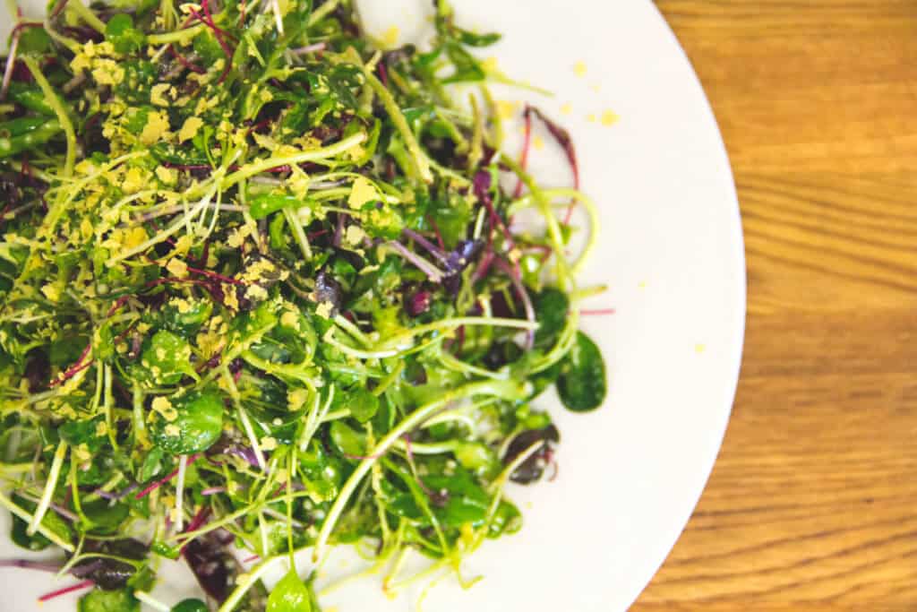 Microgreen Salad