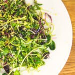 Microgreen Salad