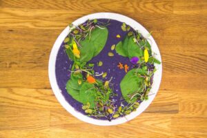 Majik Earth Smoothie Bowl