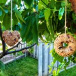 Two separate photos of two different bird feeders (left, heart-shaped, right doughnut-shaped)in each photo hanging from a tree with twine. In the left photo.